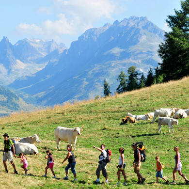 Things to do in Savoie