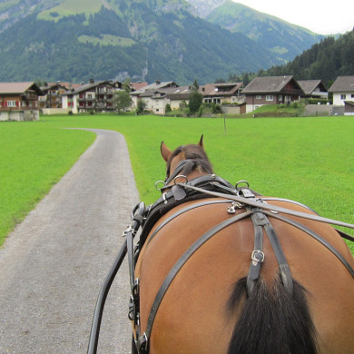 vacances montagne la clusaz confins activites